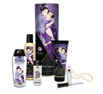 set-shunga-carnal-pleasures