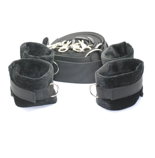 Set Under The Bed Restraint