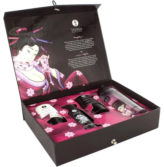 Set Shunga Naughty Kit