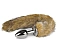 Dildo Fur Tail S Fox