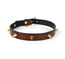 zgarda-rosy-golden-thorns-visiniu