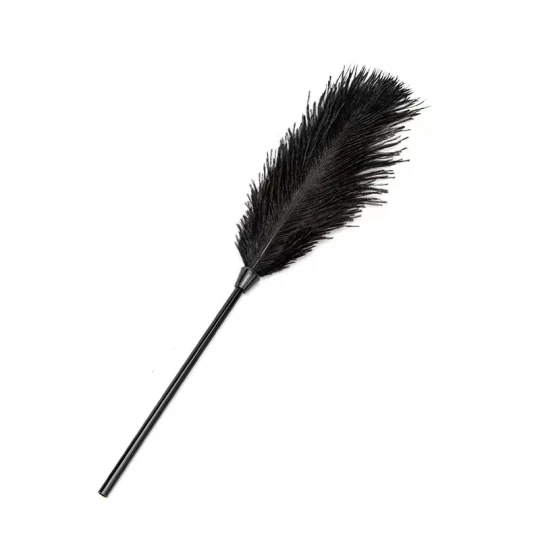Accesoriu Rosy Feather Negru