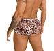 Boxeri Eross Animal Print L Leopard
