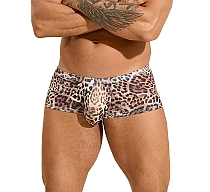 boxeri-eross-animal-print-s-leopard