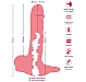 Masturbator 3 in 1 Thicker and Longer Natural