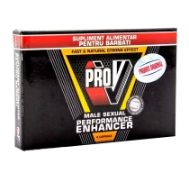 pro-v-4