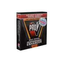 pro-v-1